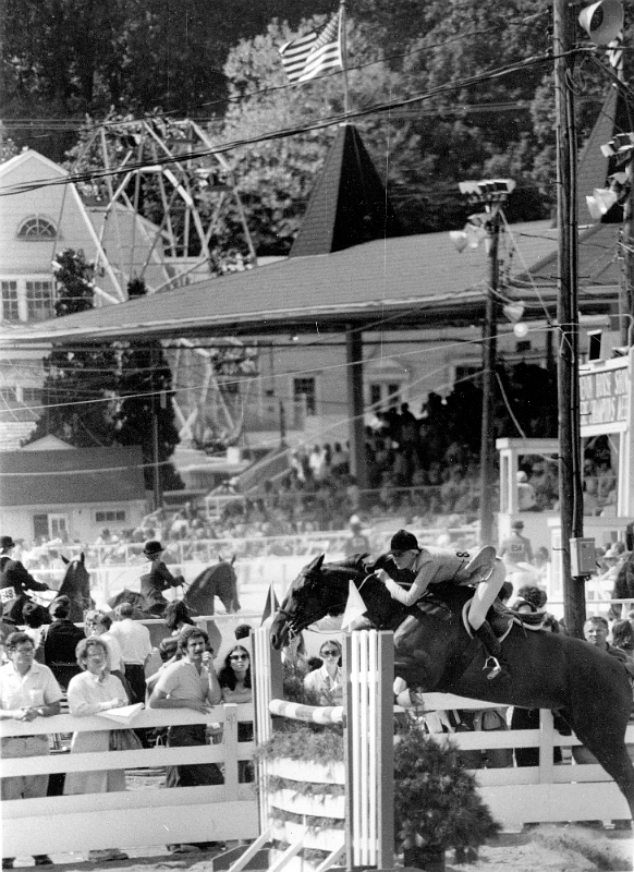 Devon Horse Show 